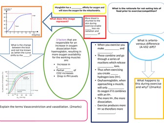 Bohr Shift Oxygen Dissociation Curve