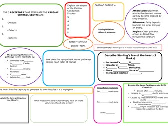 Cardiovascular Revision Mat