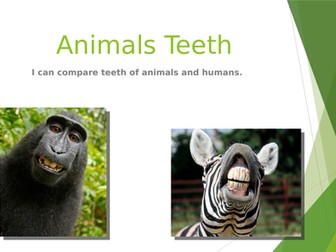 Animal Teeth Presentation