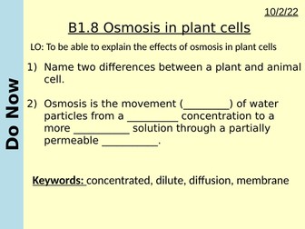 B1.8 Osmosis in Plant Cells AND Osmosis required practical (AQA)