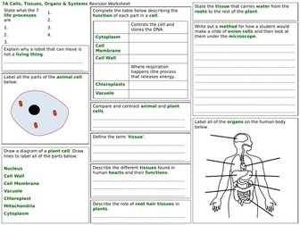 exploring science year 7 revision worksheets teaching resources