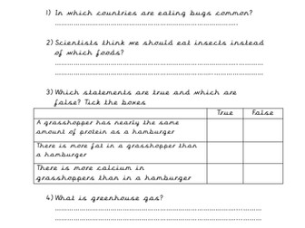 Y5 The Explorer- Katherine Rundell- Eat Bugs, Save the Planet- Comprehension Task