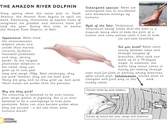The Explorer- Comprehension Task- Amazon Pink River Dolphin