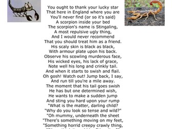 Year 5 - The Explorer- Homework Task- The Scorpion
