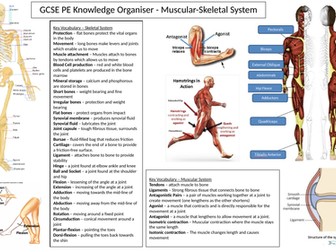 AQA GCSE PE revision sheets and practice questions