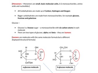biological molecules - carbohydrates notes A-level