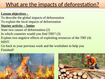 Impacts of deforestation