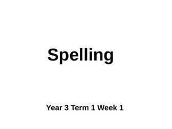 Spelling Lesson