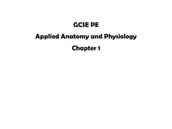 GCSE PE Skeletal System worksheets / exam questions (Edexcel)