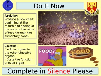 Enzymes and Digestion / Absorption (AQA A-Level Biology)