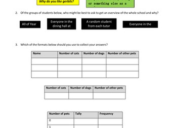 Data Collection Lesson