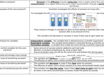 Osmosis Knowledge organiser and test