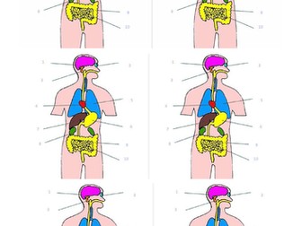 Tissues, Organs and Organ Systems