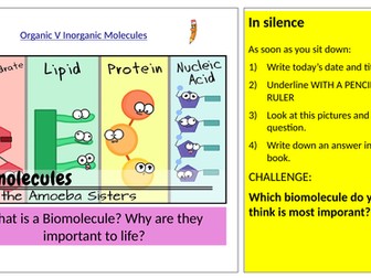 Organic V Inorganic Compounds