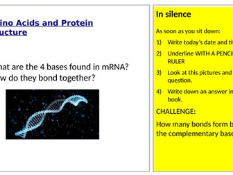 Amino Acids and Protein Structure