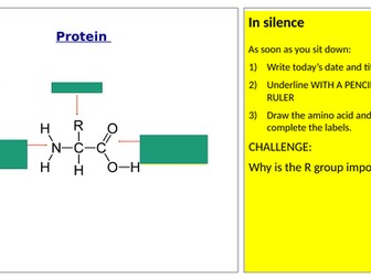 Fibrous and Globular Proteins