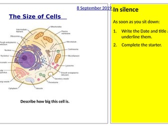 Limitations to Cell Size