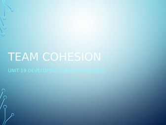 BTEC Business Level 3 Unit 19 Developing Teams