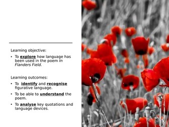 In Flanders Field for year 7