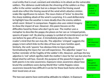 Poppies poem comparison essay image