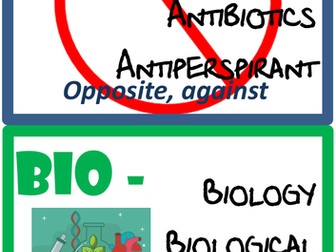 Science Display - Morphology