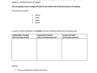 Enzyme activity experiment: catalase sources
