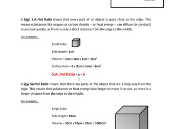Surface Area to Volume Ratio Worksheet