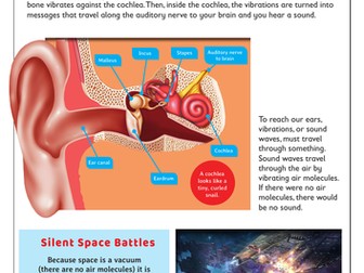 Investigating Sound Conductors