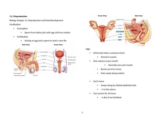 Notes: Cambridge Checkpoint and Beyond - Biology Secondary 1 (Year 8) Chapter 11 Reproduction and Fe