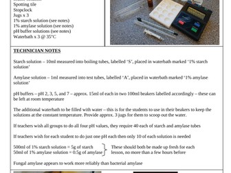 Enzymes Required Practical Instruction Sheet