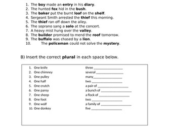 KS2 Plural Nouns: 3 levels of Differentiation