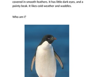 SEN Describing a penguin- colourful semantics