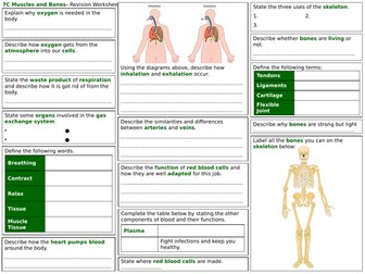 exploring science year 7 revision worksheets teaching