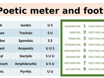 SHAKESPEARE METER AND FOOT