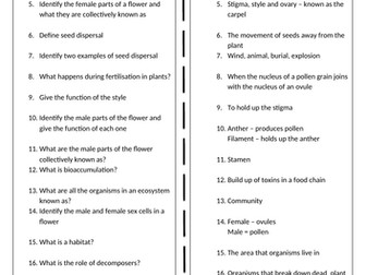 AQA Activate Key Knowledge Revision Year 7