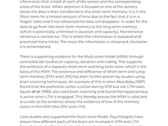 Essay on the Multi-store model