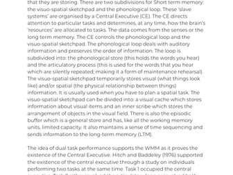 Essay on The Working Memory Model