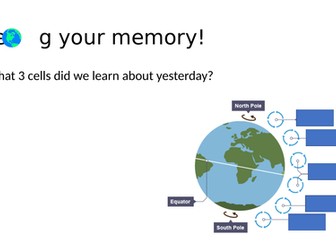 What are tropical storms?