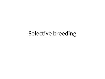 Selective breeding lesson KS3