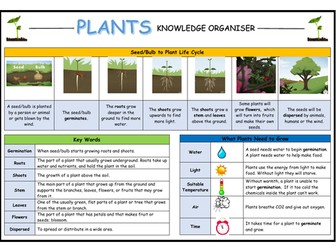 Year 2 Plants Knowledge Organiser!
