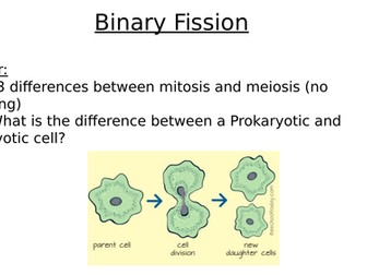 AQA B1 Cell Structure and Cell Division Complete Topic