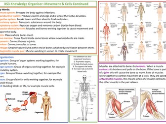 KS3 AQA Science Knowledge Organiser - Movement and Cells