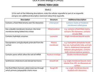 Weekly Retrieval Practice and MCQs (OCR H420 Year 1 Content)