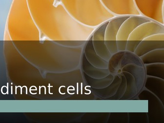 A Level Coasts Sediment cells double lesson-worksheet, ppt, map resources