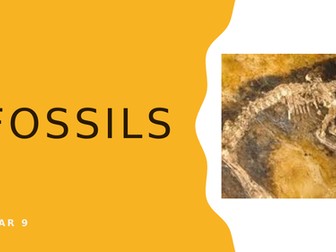 Fossils Research Task