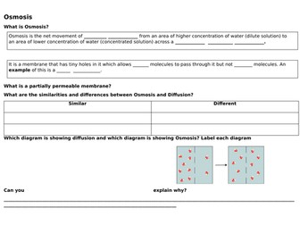 KS4 osmosis low ability