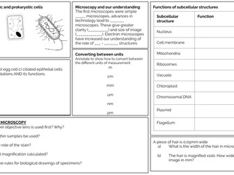 Edexcel Biology 9-1 Revision Mats (Paper 1)
