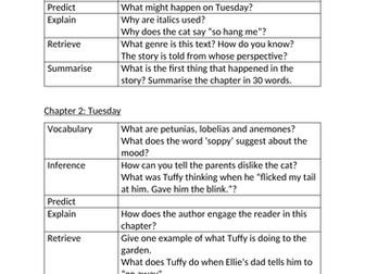 VIPER style questions for Diary of A Killer Cat