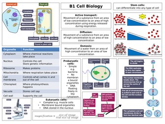 AQA Combined Science Biology Paper 1 Mind Maps