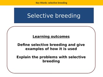 Selective breeding lesson